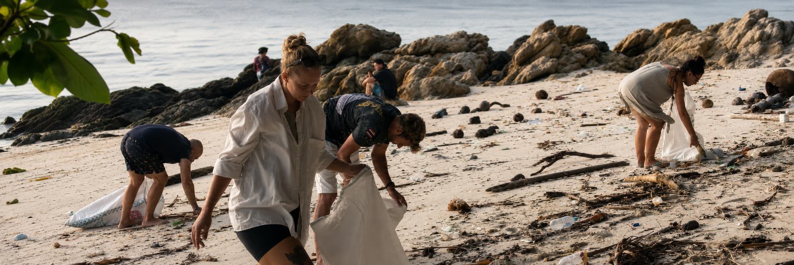 Beach Cleaning