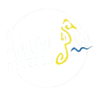 Adang Sea Divers